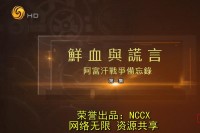 凤凰大视野.鲜血与谎言·阿富汗战争备忘录.2023.HDTV.720P.X264.AAC-NCCX网盘下载