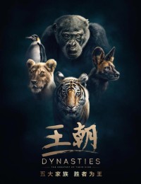 [王朝/Dynasties][5集全] [2018][国英双语中字][mp4/3.59G][720P]网盘下载