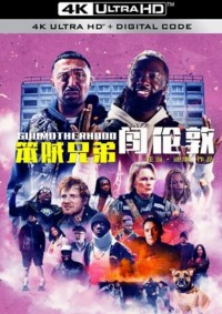 2024喜剧动作《笨贼兄弟闯伦敦》1080p.BD中英双字网盘下载