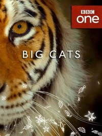 [大猫/Big Cats][全3集] [2018][WEB-MKV/4.55G][国英双语.特效中英软字幕][1080P.H265]网盘下载