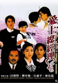 [2002][爱上总经理] [国语中字][27集][mkv/720P/每集约380M]网盘下载