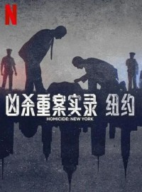 2024纪录片《凶杀重案实录：纽约》1080p.HD中字网盘下载