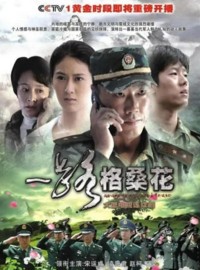 超清1080P《一路格桑花》电视剧 全20集 国语中字网盘下载