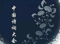 [中国诗词大会第一季][10集全][2016][国语中字][CCTV高清][FLV/单集900M] [720P]网盘下载