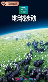 地球脉动.Planet.Earth.2006.S01/11集全.BluRay.720P.X264.AAC.2Audio-NCCX网盘下载