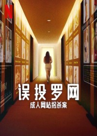 2024纪录片《误投罗网：拐杀案》1080p.HD中字网盘下载