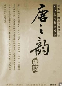 [唐之韵] [2001][mkv/17G][国语中字][1080p]网盘下载