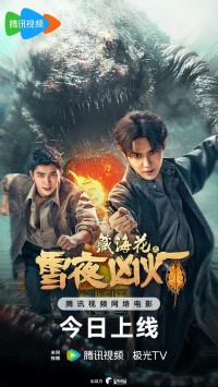 2024动作《藏海花之雪夜凶灯》1080p.HD国语中字网盘下载