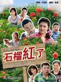 [火红的日子][720P][高清][MP4][15.86G][每集280-300M][2012年] [国语中字]网盘下载