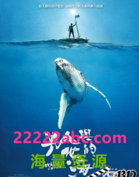 [男人与他的海 whale.island.2020.1080P] [2020][高清-MP4/2.40G][国语中字][1080P]网盘下载