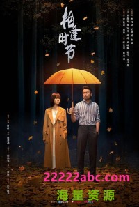 超清1080P《相逢时节》电视剧 全38集 国语中字网盘下载