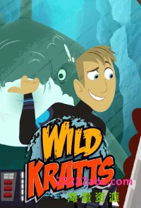 《动物兄弟》国语版第四季下载 全26集mp4高清720p分辨率 Wild Kratt中文版网盘下载