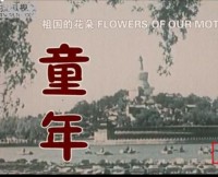 【电影传奇：马路天使-天涯海角\\祖国的花朵-童年】[2005][国语][217MB\213MB][MKV]网盘下载