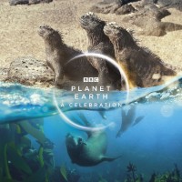 BBC.地球脉动.生命礼赞.Planet.Earth.A.Celebration.2020.BluRay.720P.X264.AAC-NCCX网盘下载