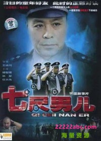 [公安局长4/七尺男儿][第四部][6DVD5][原盘ISO][24.63G][20集全][2005年][无台标] [中字幕]网盘下载