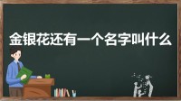 金银花还有一个名字叫什么(金银花的另一个名字叫什么)