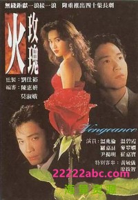 [火玫瑰][10DVD9][高清][原盘ISO][78.68G][40集全][1992年] [国粤双语][内嵌软字幕]网盘下载