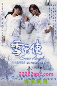 [雪天使][4DVD5][16.78G][每碟4G左右][原盘ISO] [2004年][国语无字幕]网盘下载