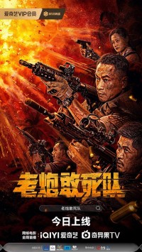 2024动作《老炮敢死队》4K.HD国语中字网盘下载