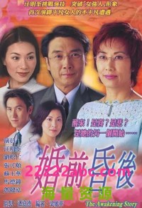 [2001][婚前昏后][汪明荃/刘松仁/张可颐][国语/粤语外挂中字][GOTV源码/TS][25集全/单集约820M]网盘下载