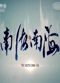 CCTV.南海南海.NHNH.2019.HDTV.720P.X264.AAC-NCCX网盘下载