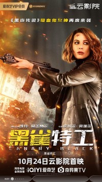 2024动作《黑雀特工》4K.国英双语.HD中英双字网盘下载