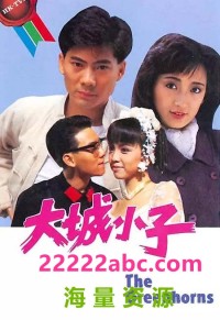 [1987][大城小子][邓浩光/邓萃雯/龚慈恩][双语无字（粤语外挂）][GOTV源码TS/1080P][20集全/单集约1.3G]网盘下载