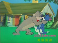 流畅480P《猫和老鼠河南方言配音版》动画片 全14集网盘下载