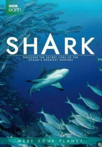 [BBC：Shark 鲨鱼 2015][全3集] [英国][2015年][英音轨/内置中英字幕][MP4/720P/2.34G]网盘下载