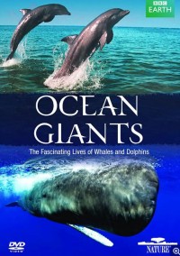 [海洋巨兽/Ocean Giants(全3集)] [纪录片][2011][BD-MKV/8.3G][英语中字][1080P]网盘下载