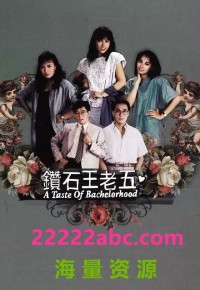 [1986][钻石王老五][国粤语无字][吴启华/蓝洁瑛] [TS/单集约 1.11 GB][20集全][标清 560p]网盘下载