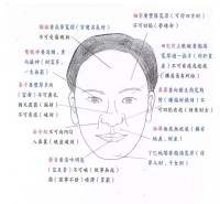 普通人只知道“这个人鼻子长得好,又高又直“那个人的眼睛长