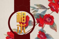 女人克夫的15张脸 眉毛横直，眼睛锐利