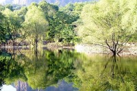 日生人吉凶论断 出生在1911年的人将具有诚实和坚强的个性特