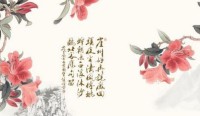 客厅一进门，对面放了什么？ 绿色植物吉祥物