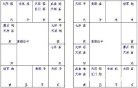 紫微斗数的免费排盘 根据排盘项目和命盘查询