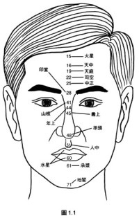 易学--看人三分相（面部之一）