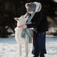 未婚者梦见别人摘柿子