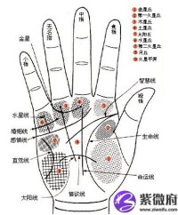 手掌分析的基本原理及基本对应关系