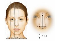 鹰嘴鼻面相分析 在面部科学中