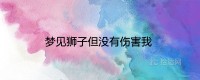 梦见狮子但没有伤害我意味着什么