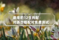 最准确的12生肖配对表婚姻配对查询