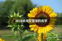 2024年龙女婴名字推荐