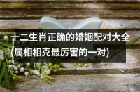 十二生肖正确的婚姻配对大全(属相相克最厉害的一对)