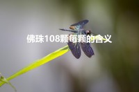 108颗佛珠的含义(108个手镯的含义是什么)