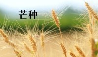 芒种是否适合2023年结婚