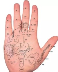 手掌五星丘、小指根部和感情线中间,影响爱情、结婚时间等