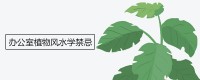 办公室植物风水的禁忌是什么？