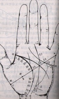 手相流年,手纹流年定位