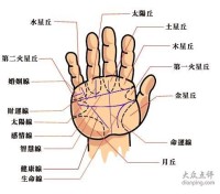 手掌线图解掌纹秘密全图解